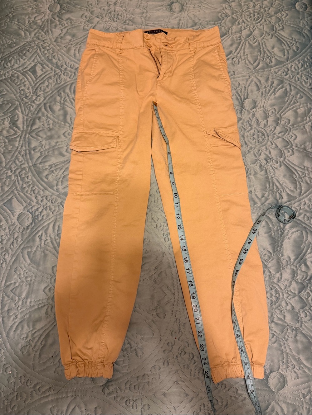 Sanctuary cargo Pants bin5